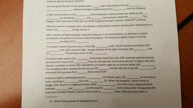 Solved The energized electron leaves photosystem _____ and | Chegg.com