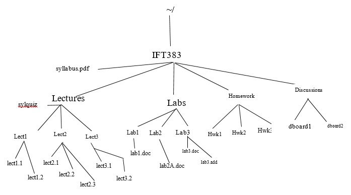 IFT383 syllabus.pdf Discussions Homework Lectures svlquiz Labs dboad dboard2 Lect2 Labl Lab2Lab3 Hwkl Hwk2 Lectl Lect3 labl.doc ect1 ect2.1 lab3 zdd lect3.1 lab2A.doc lect1.2 ect2.2 lect3.2 lect2.3