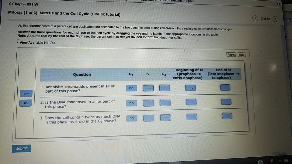 Set Prev Chapter 09 Hw Mitosis 1 Of 3 Mitosis Chegg Com