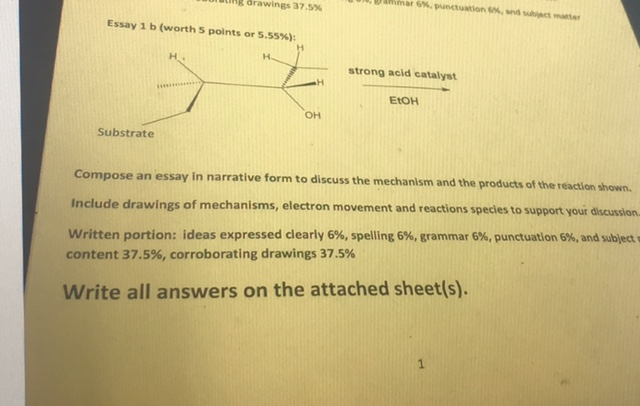 Sample Persuasive Essay High School Question The Grammar Punctuation En Snd Subject Matter Ating Drawings Essay B Worth Point Business Essay Topics also Topics For An Essay Paper Solved The Grammar Punctuation En Snd Subject Matte Thesis Examples For Essays