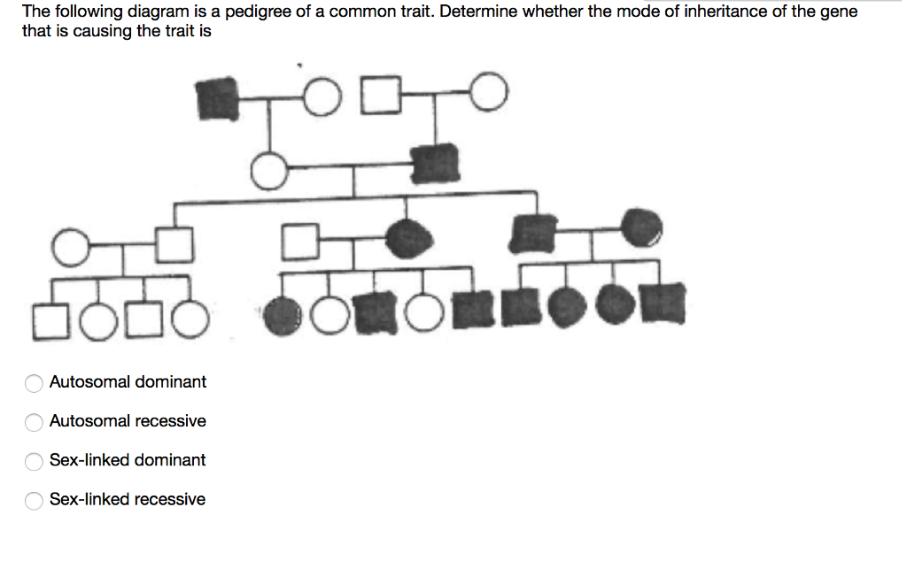 Solved The Following Diagram Is A Pedigree Of A Common Tr