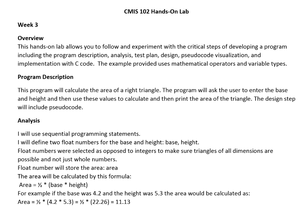 Cmis 102 assignment 1 essay example 07 picture