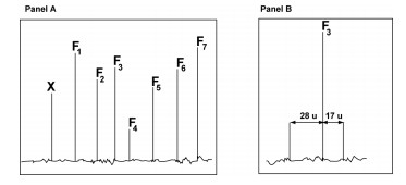 Panel a panel b 28 u 17 u