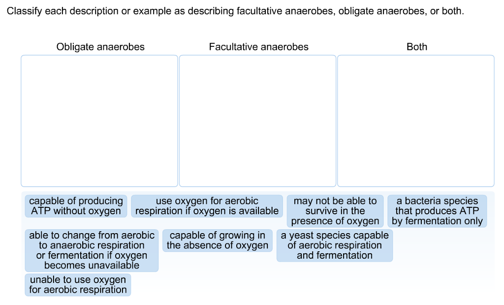 Solved Classify Each Description Or Example As Describing Chegg Com