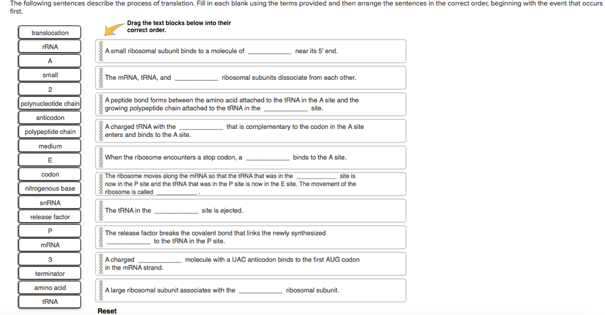 using the term using the term
