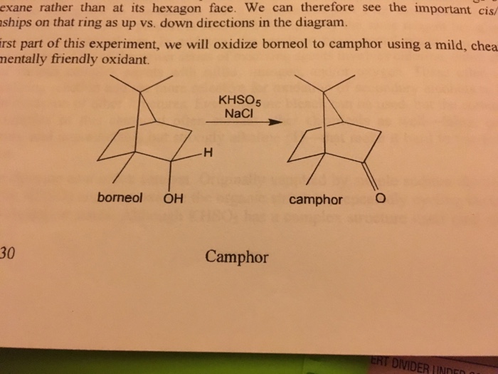 oxidation of borneol to camphor balanced equation