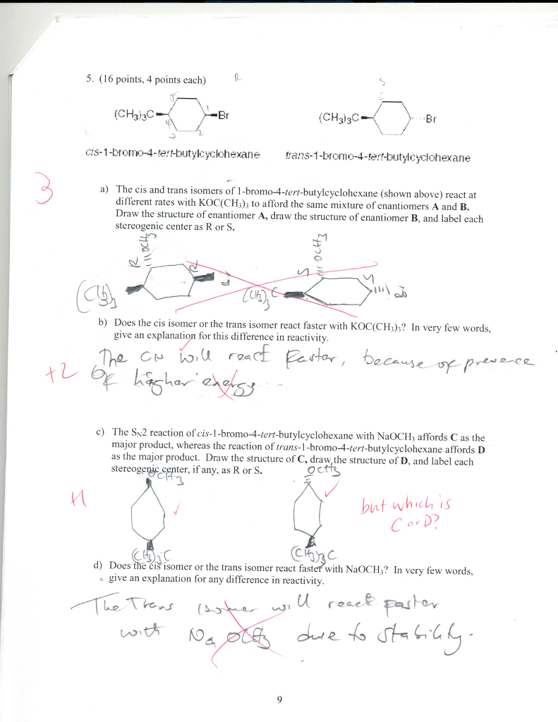 The Cis And Trans Isomers Of Tert Butylc The Cis And Trans Isomers Of Tert Butylc