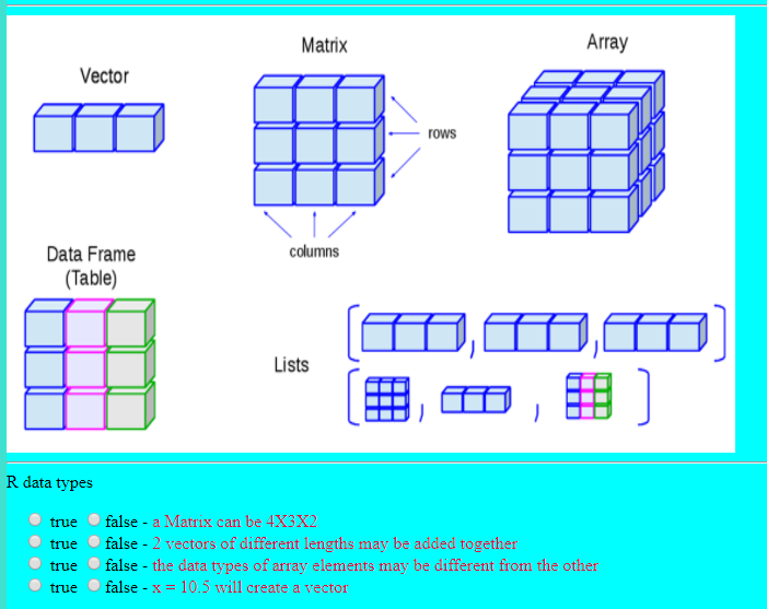 Solved Matrix Array Vector Rows Data Frame Table) Columns | Chegg.Com