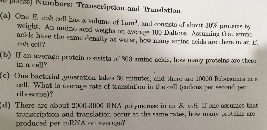 Solved One E Coli Cell Has A Volume Of 1 Mu M 3 And Con Chegg Com