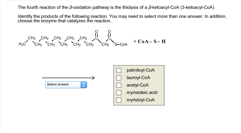 beta oxidation pathway products