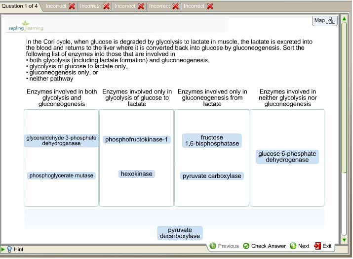 Question: Incorrect x Incorrect Incorrect X Question 1 of 4 Incorrect Map pling In the Cori cycle, when glu...