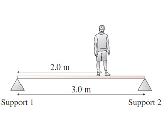  Básculas de peso para personas 350 lb/160 kg de capacidad,  esfera mecánica extra grande, resistente, profesional, precisa, básculas de  peso corporal en casa, oficina, dormitorio duradero : Productos de Oficina