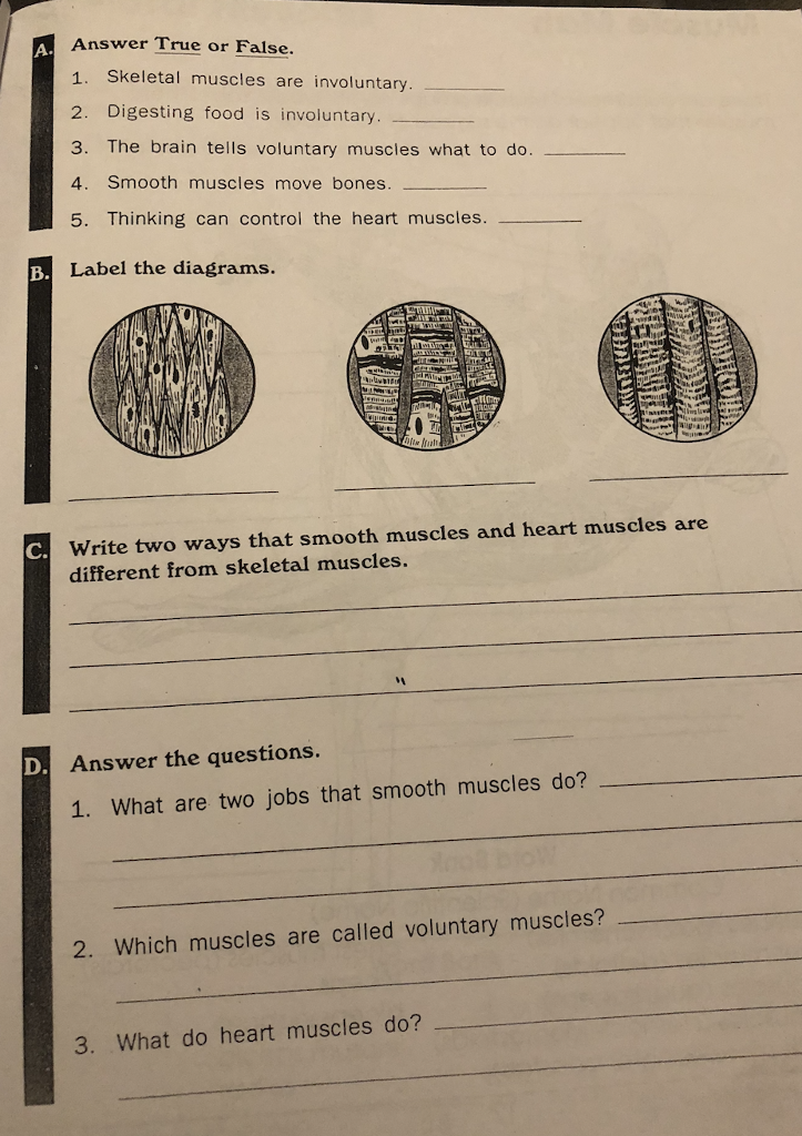 Solved Answer True or False. 1. Skeletal muscles are | Chegg.com
