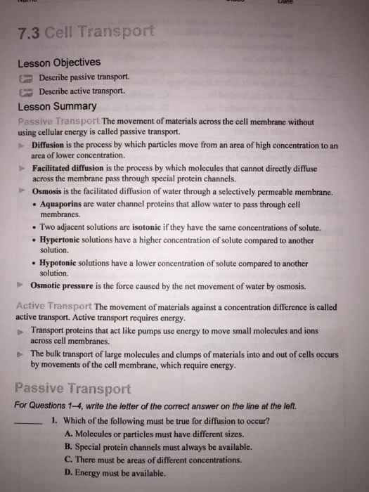 Solved Describe passive transport. Describe active | Chegg.com