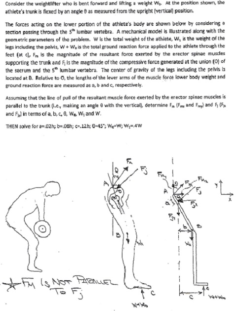 Diagrams illustrating measurement of (a) forward flexion of the trunk