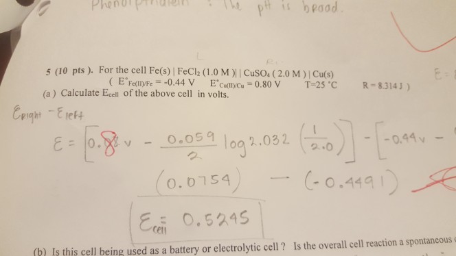 Solved 5 10 Pts For The Cell Fe S Fecl2 1 0 M川cu Chegg Com