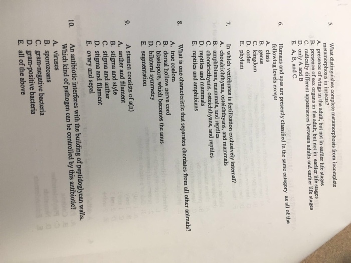 Solved What Distinguishes Complete Metamorphosis From | Chegg.com