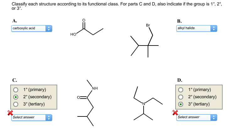 Classify Each Structure To Its Functional Class 34+ Pages Summary [550kb] - Updated 2021 