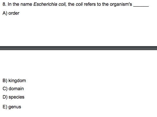 e coli kingdom