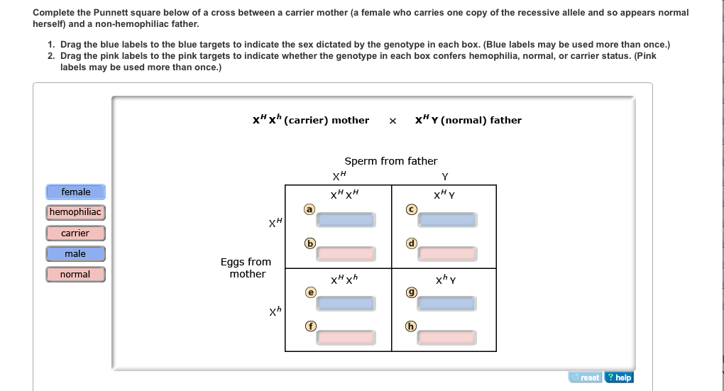 download analytic theory of continued