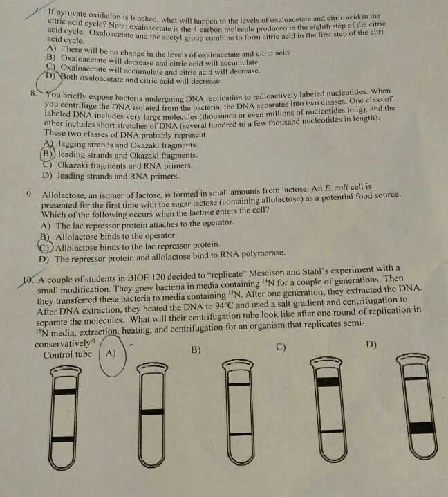 oxidation pyruvate acid citric cycle solved blocked happen problem been bacteria