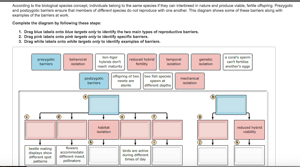 Drag the labels onto the diagram to identify the various chro...