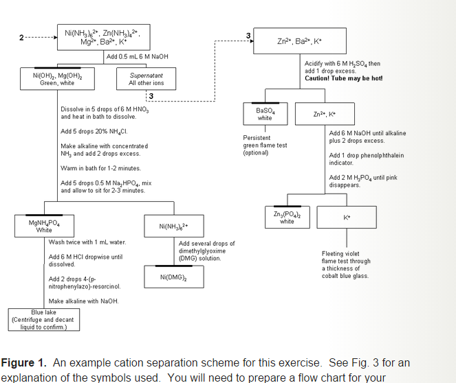Qualitative Analysis Of Group 1 Cations Flow Chart