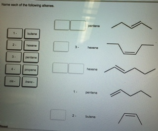 Name Each Of The Following Alkenes Pentene 2 3hexene Chegg 