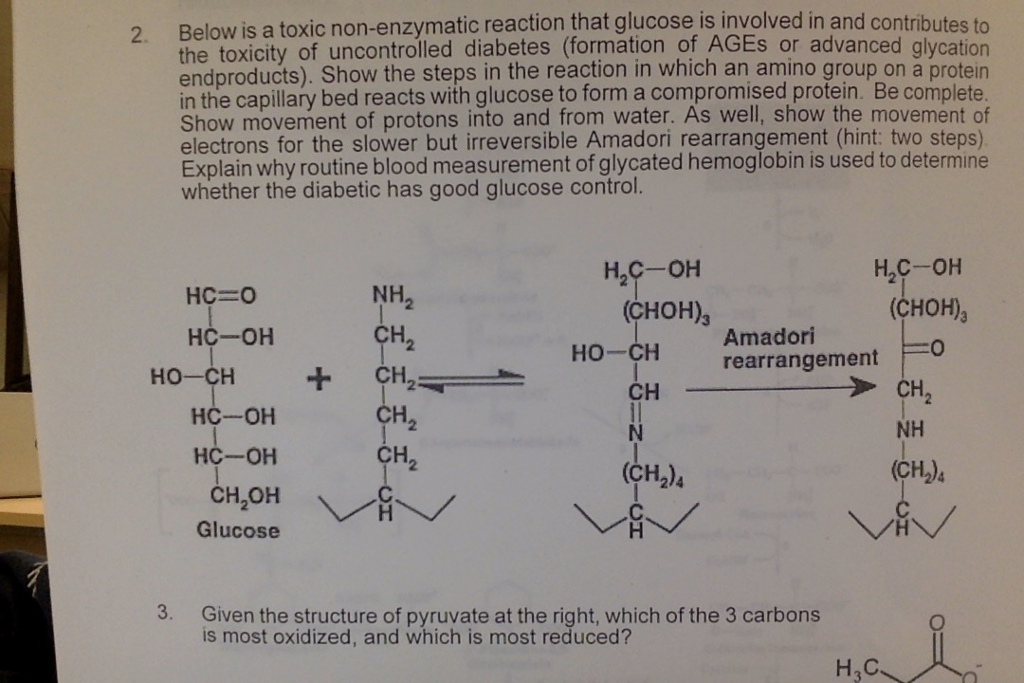 Solved: Toxic That Is A Non-enzymatic ... 2. Below Reaction Gl