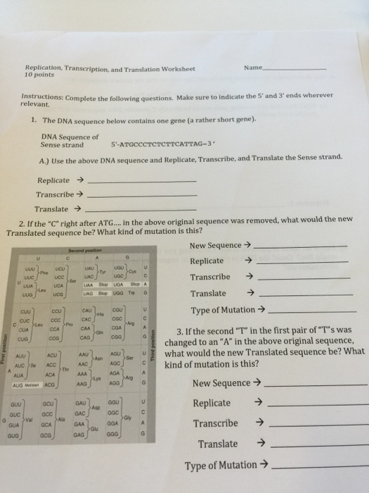 Replication Transcription And Translation Worksheet Chegg 