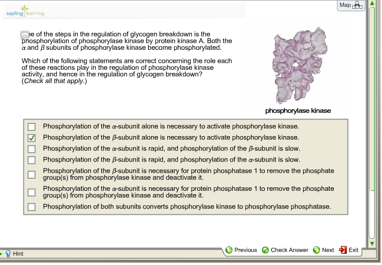 glycogen drawing Chegg.com  14,  October  Archive 2014  Chemistry