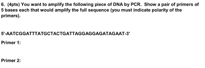 Amplify answers image