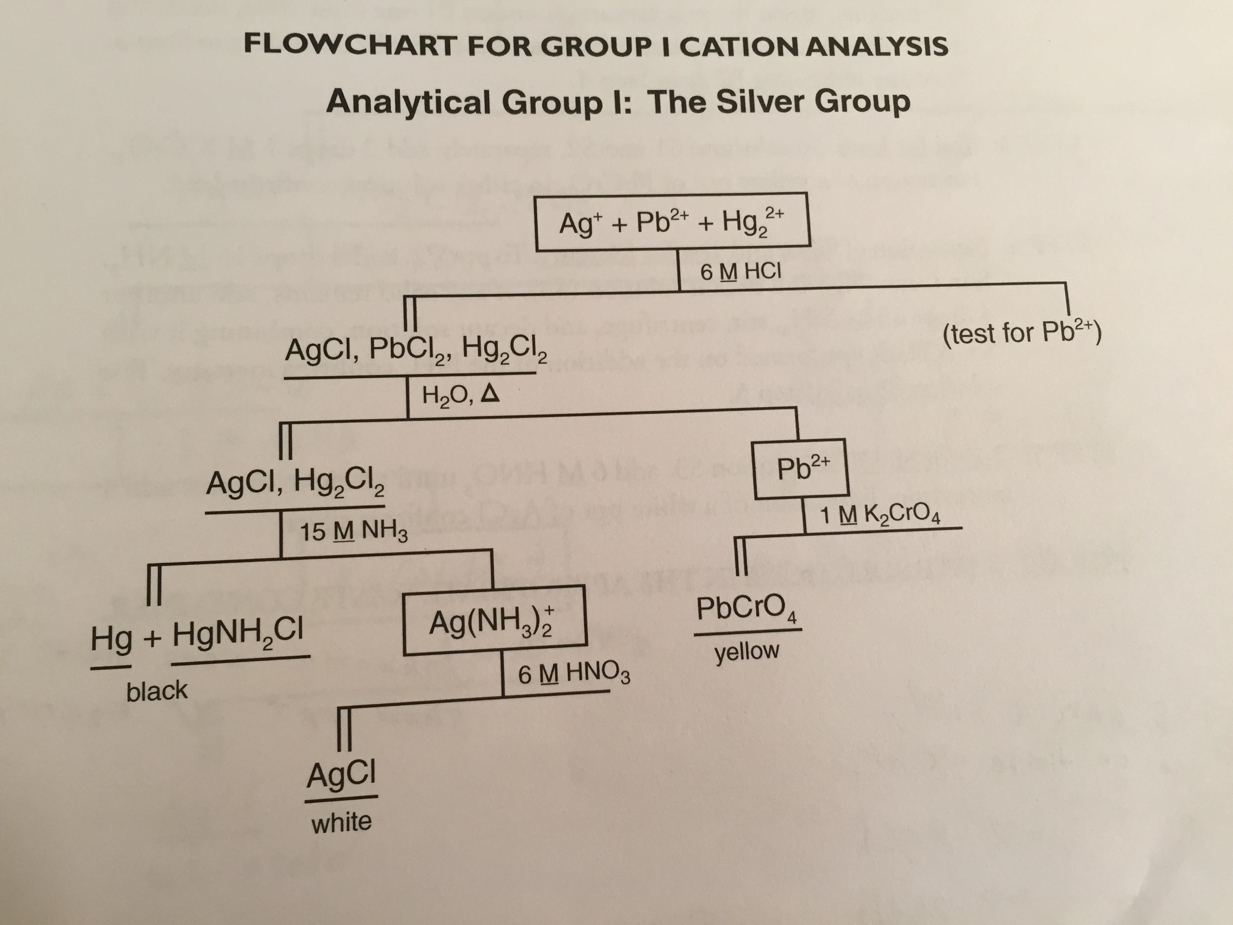 Group 1 Cations Flow Chart