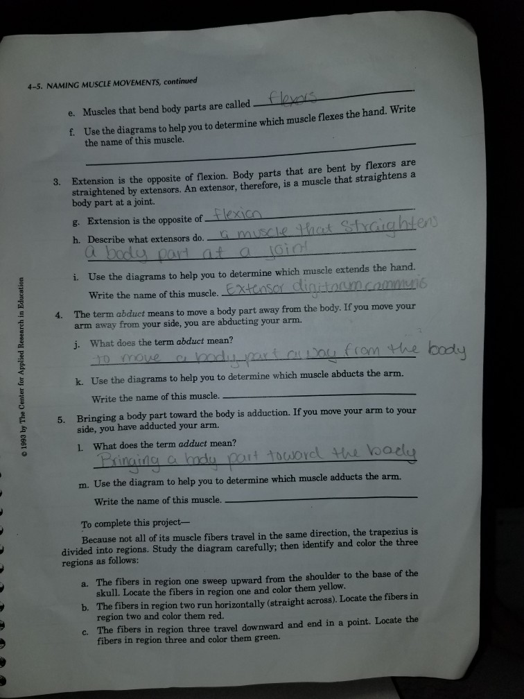 Name Date 4 5 Naming Muscle Movements Instructions Chegg 