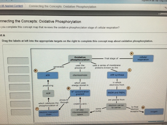 Oxidative Phosphorylation Concept Map Solved: You Complete This Concept Map That Reviews The Oxi 