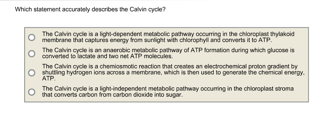 Solved Which Statement Accurately Describes The Calvin | Chegg.com Solved Which Statement Accurately Describes The Calvin | Chegg.com