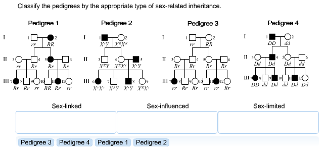 Solved Classify The Pedigrees By The Appropriate Type Of