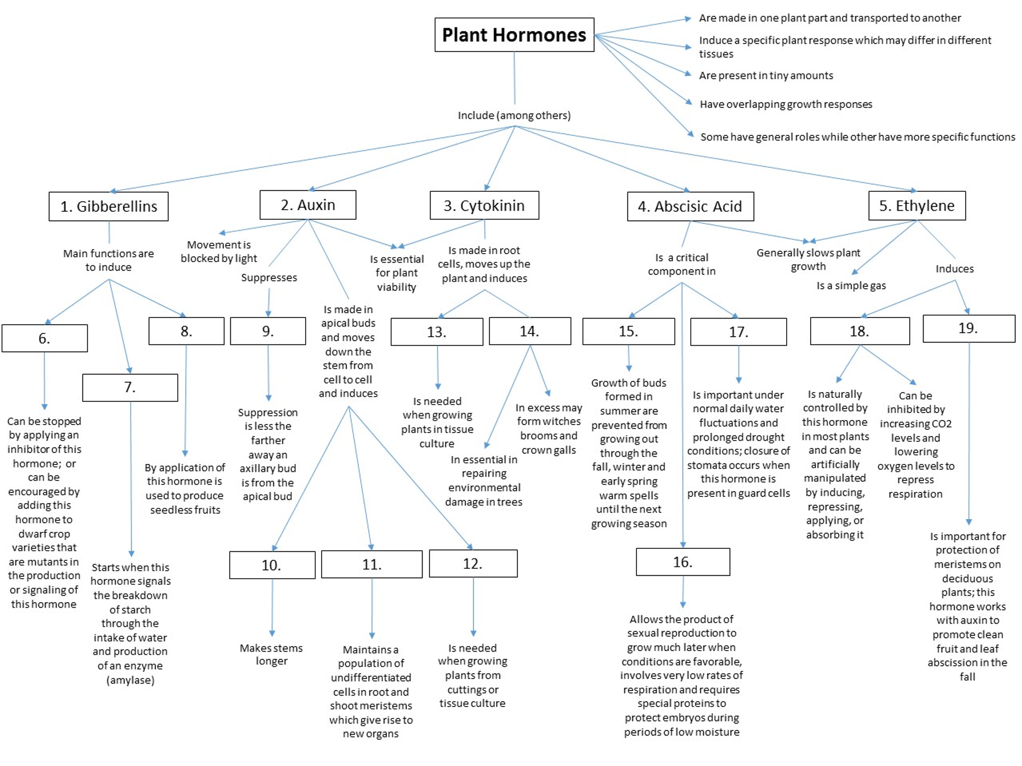 Concept map of plant cell