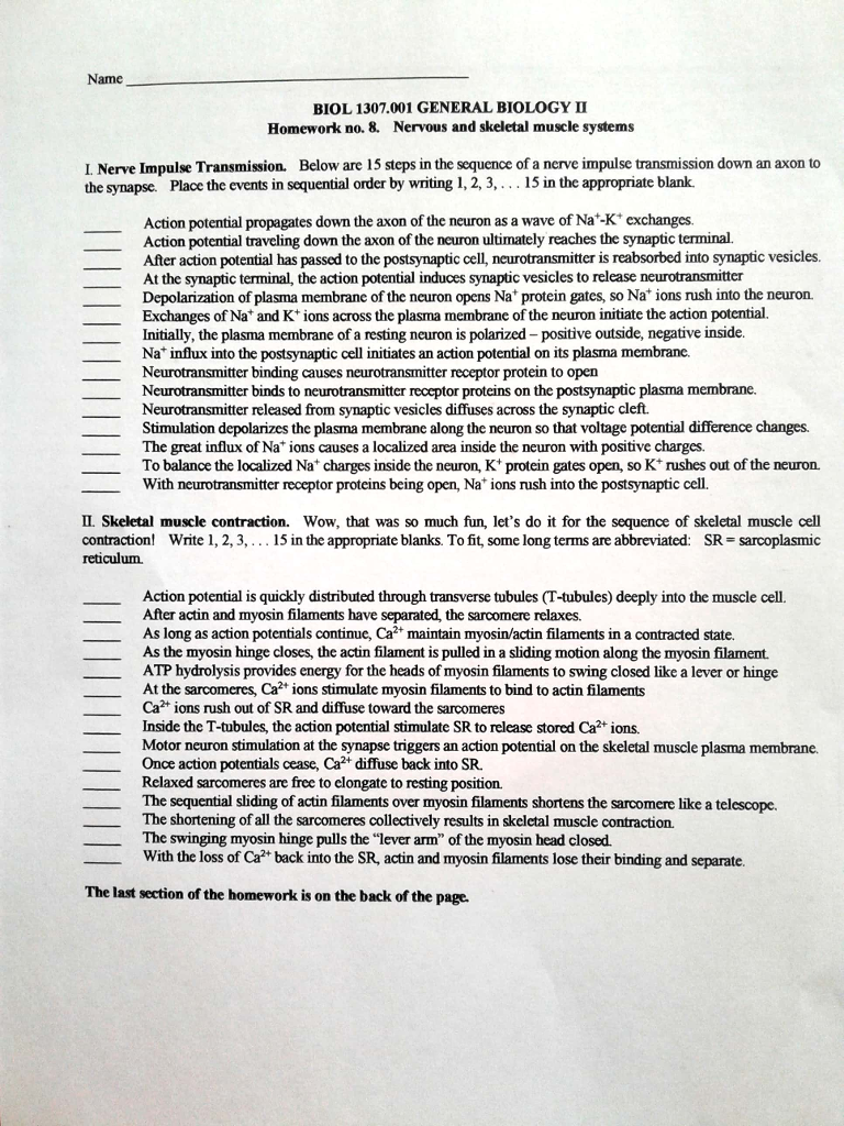 company man essay design