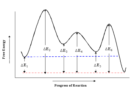 AE AE AE3 AE4 Progress of Reaction AE AE