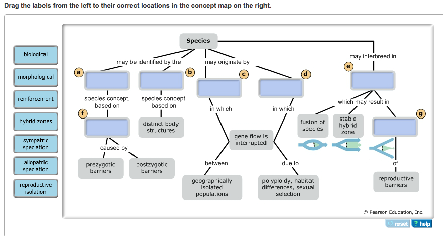 Correct flow. Terms and Concepts in terminology. Concept in terminology. Vocabulary 5 Label the Network diagram with the correct. I-Flow Bulk.