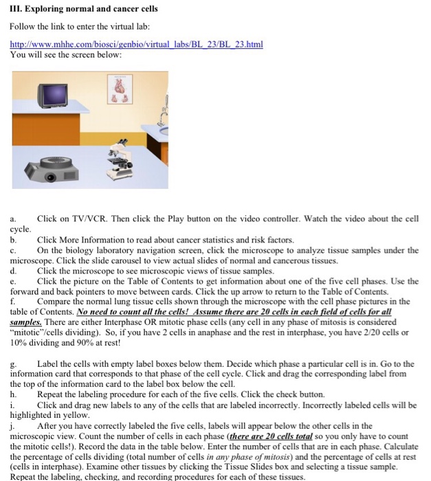 virtual lab the cell cycle and cancer