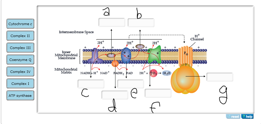 logistics through flow Used Solved: To Is Technique Mixtures 1.A Distill Separate
