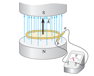 You are evaluating the performance of a large elec