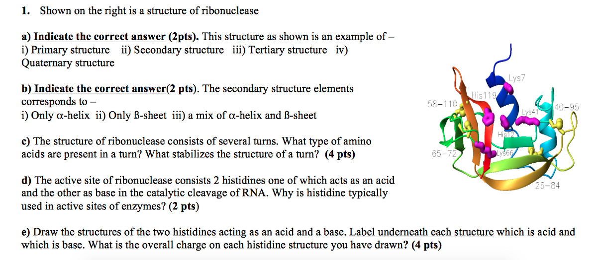 secondary structure elements