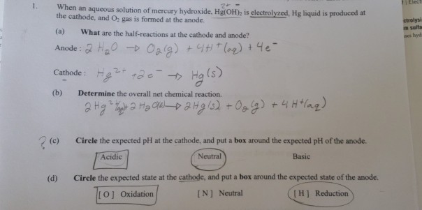 Solved 1 When An Aqueous Solution Of Mercury Hydroxide Chegg Com