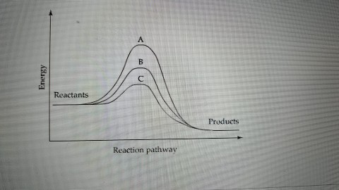 Solved: The Graph Shows Three Reaction Pathways For The Sa... | Chegg.com