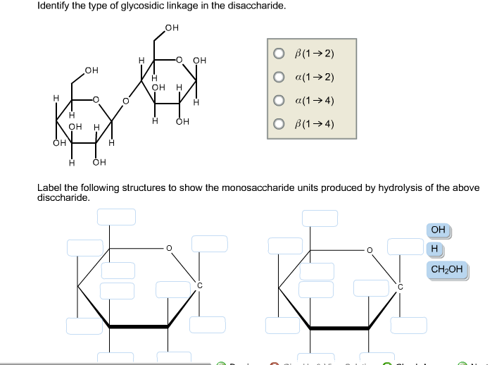 Identify The Type Of Glycosidic Linkage In The Disaccharide 41+ Pages Summary [725kb] - Updated 2021 