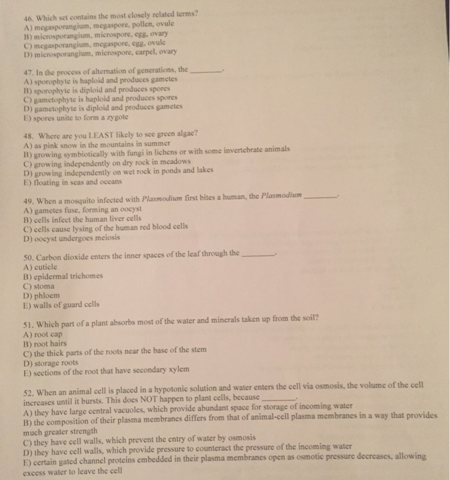 Solved Which Set Contains The Most Closely Related Terms Chegg Com