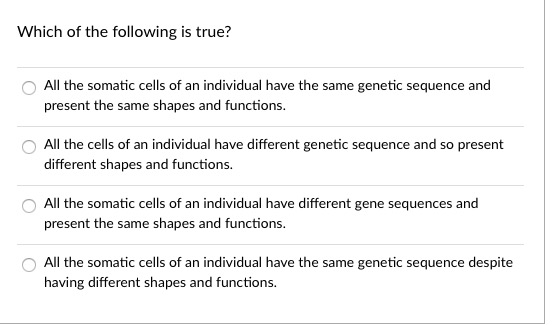 Solved What Impact Can A Point Mutation Have On The Amino Chegg Com